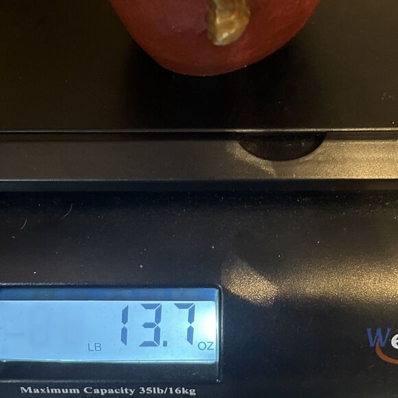 Vintage Folk Art Resin Santa Claus Old World with Trumpet Signed 1989 MF. S7619 - Picture 14 of 14